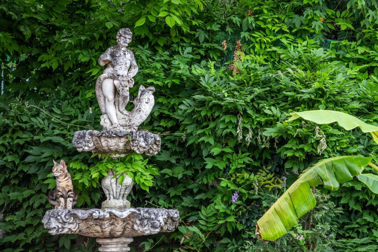 Victoria Hill Hotel Dassia  Dış mekan fotoğraf